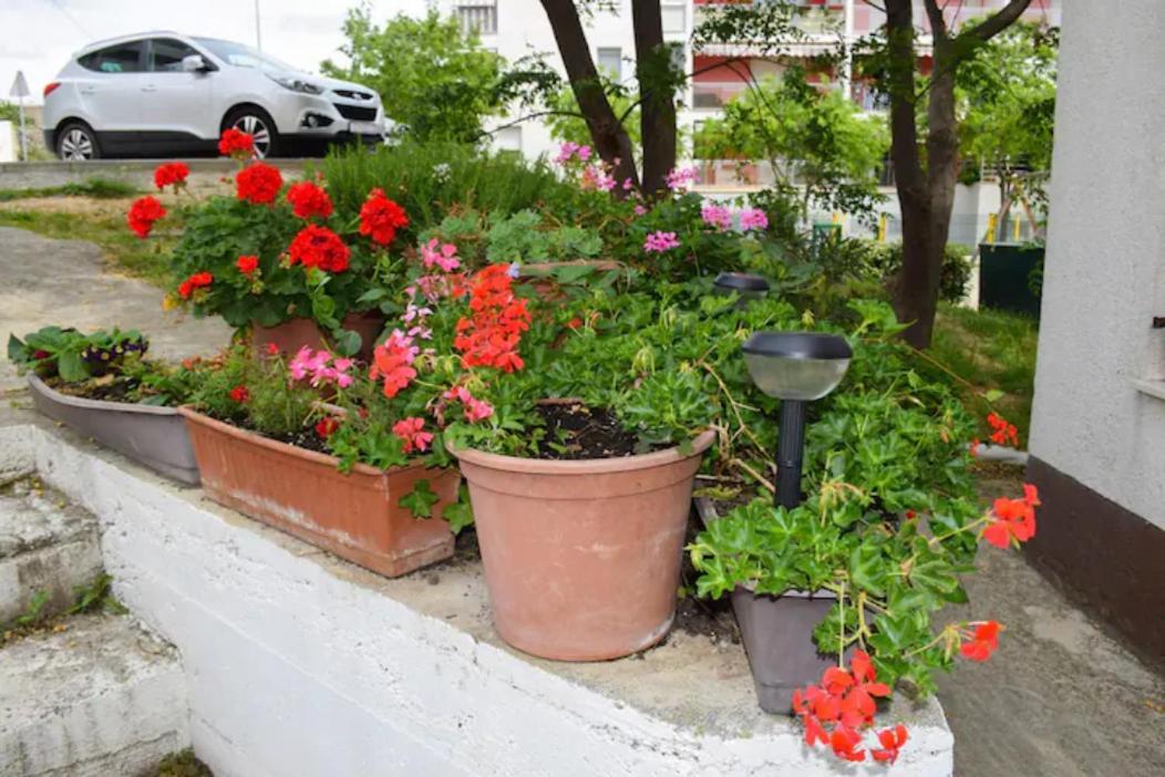 Apartments Marasovic - Roko สปลิท ภายนอก รูปภาพ